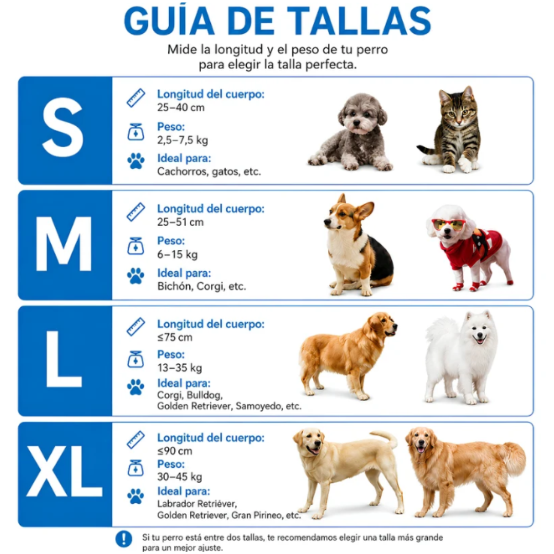 Secador Automático para Perros