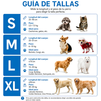 Secador Automático para Perros