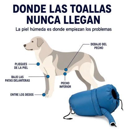Secador Automático para Perros