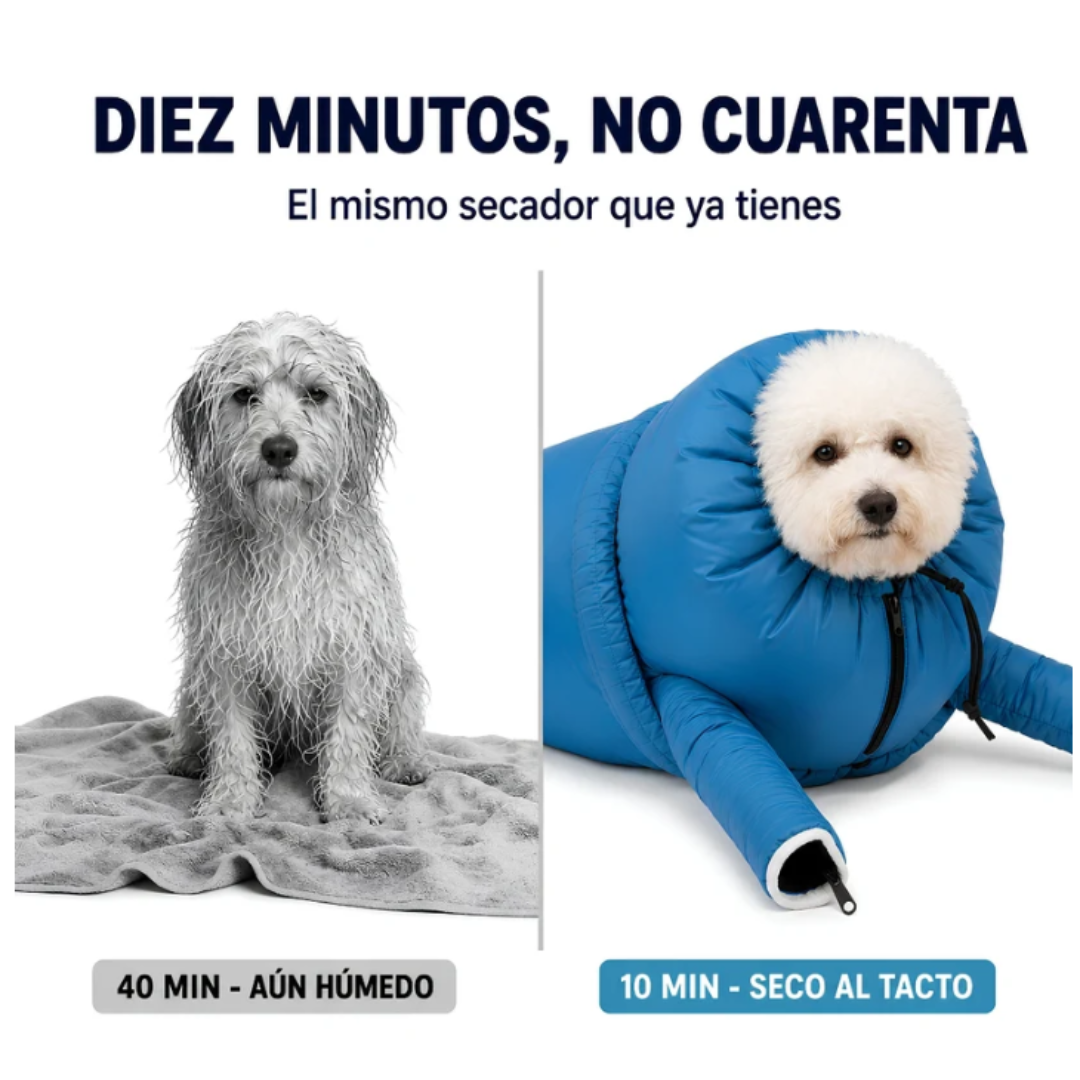 Secador Automático para Perros